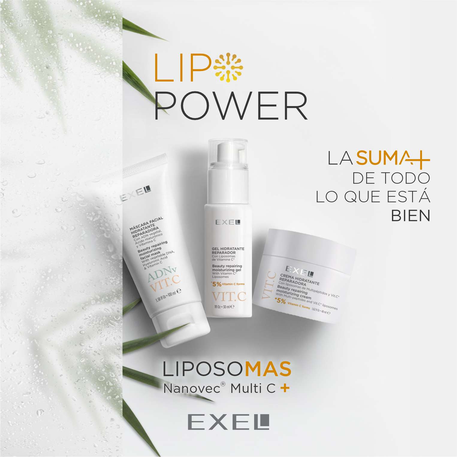 Tratamiento Facial: LIP POWER (Vitamina C)