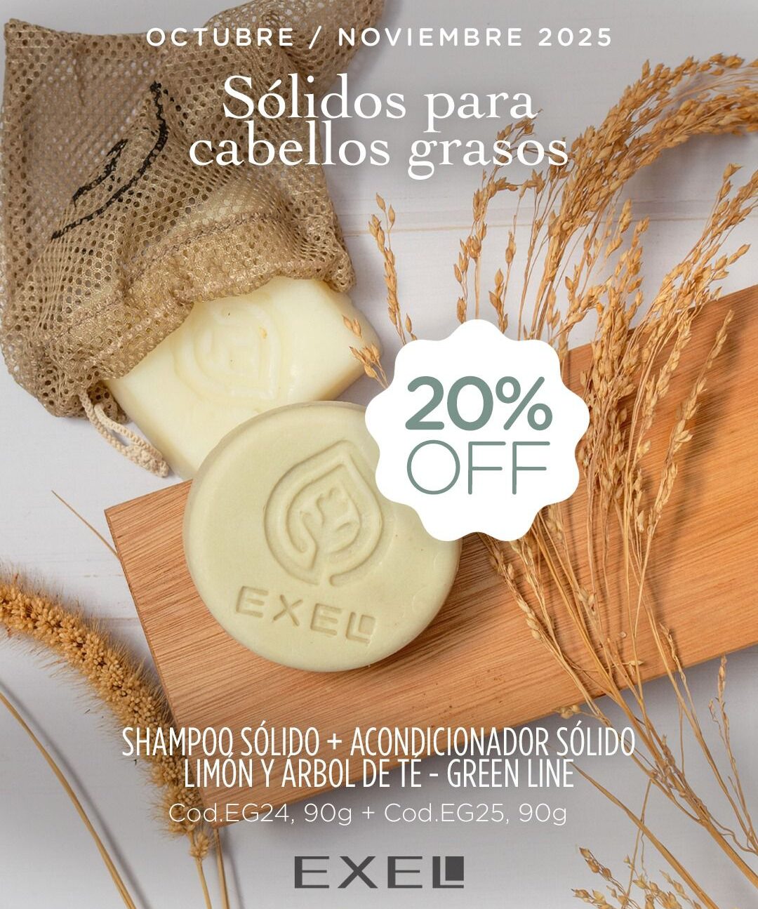 PROMO BOOK: Sólidos para Cabellos Grasos (Octubre-Noviembre)