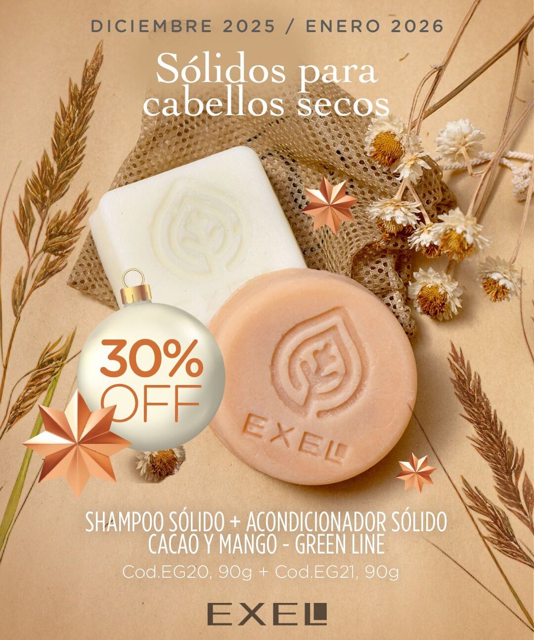 PROMO BOOK: Sólidos para Cabellos Secos (Diciembre-Enero)